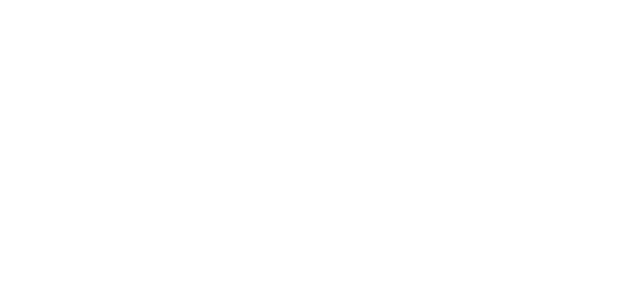 Trust Pilot Excellent Reviews