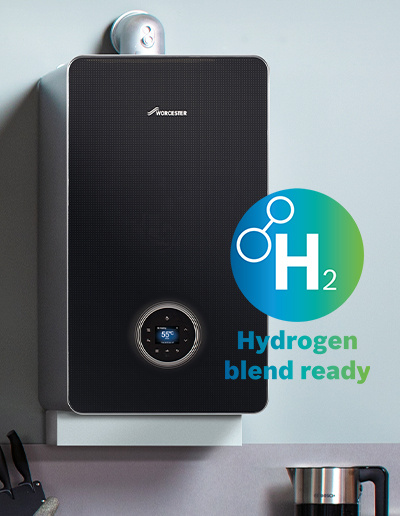 تاريخ شجرة الصنوبر البورسلين تحويل عز وجل ثقب Bosch 8000 Elkoinc Com