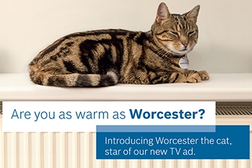 Say hello to Worcester The Cat - The star of our £2m advertising campaign